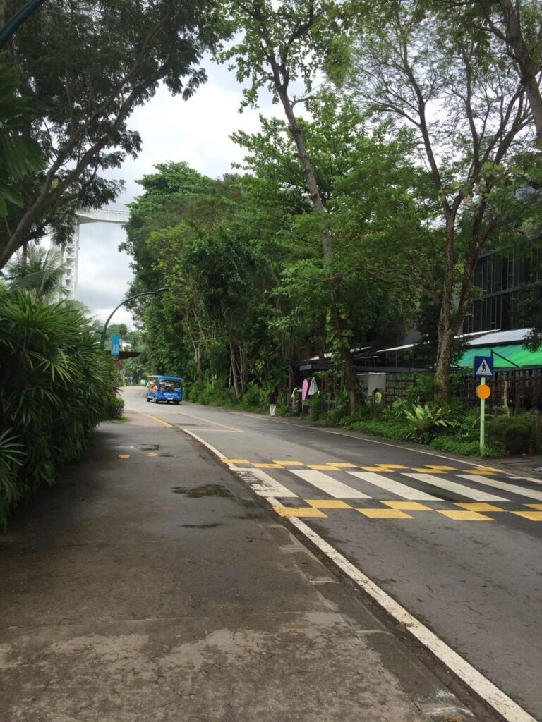 セントーサ島の緑豊かな道